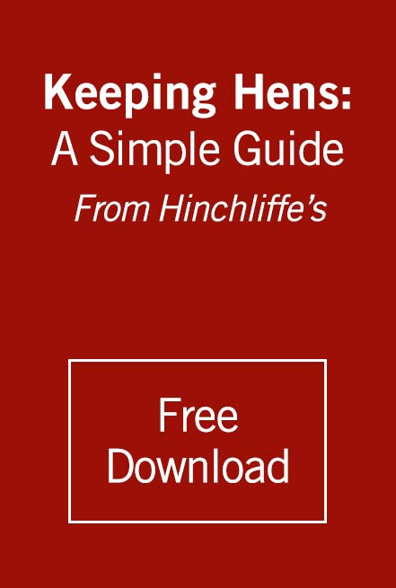Keeping Hens: A Simple Guide from Hinchliffe's. Download Button
